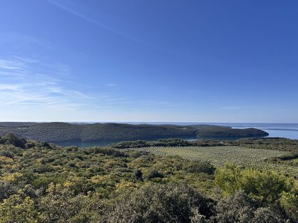 Foto de Miklos Szabadkai a lo largo del recorrido