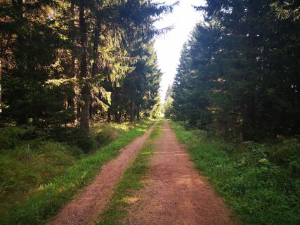 Photo de Denis Trapp 1 le long du parcours