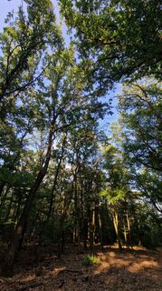 Fotografia z KohalmiK na trase