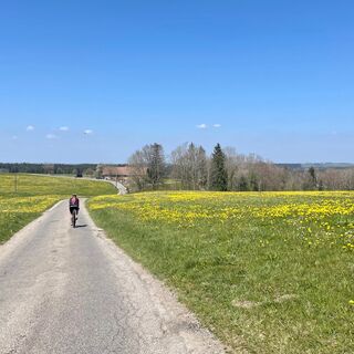 Verkehrsarme Straßen im West- und Württembergischen Allgäu
