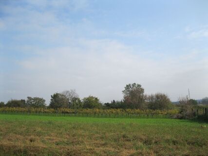 Stammersdorf - Donauinsel
