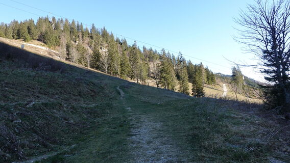 am Weg zur Almstraße