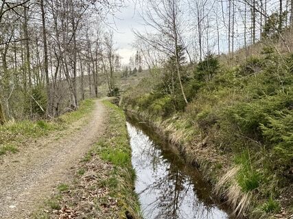 Photo de Norbert Herbig le long du parcours