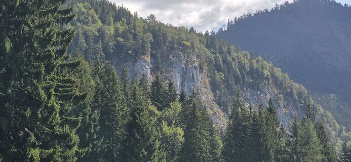 Fotografie z Johann Weichselbaum na trase