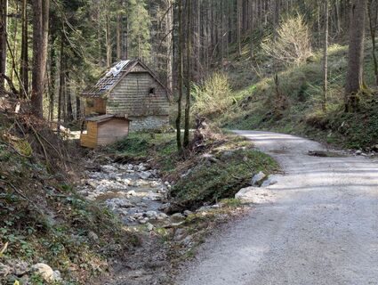 Foto von Hiking Hermit entlang der Tour
