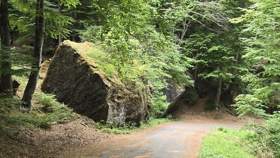 Photo de Bike Rider le long du parcours