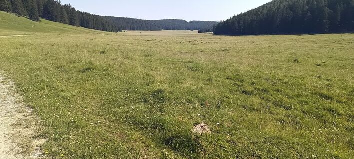 Foto von Bergpirat entlang der Tour