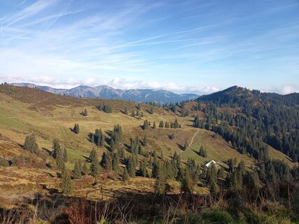 Photo de Bettina Miller 1 le long du parcours