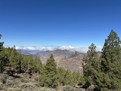Foto de justasimpleguy a lo largo del recorrido
