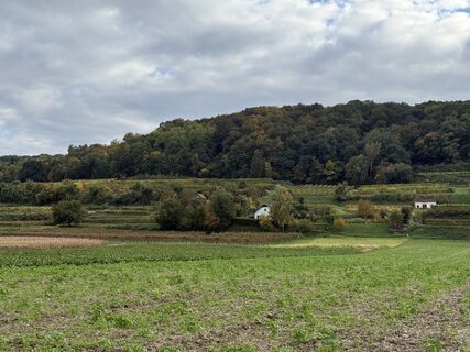 Fotografia z Hermann Czerweny na trase