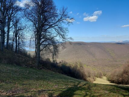 Photo de Zoltán Kovács 5 le long du parcours