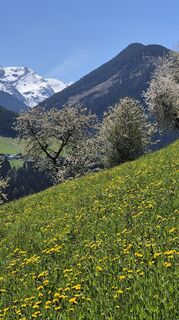 Foto de Cilli Waldhof a lo largo del recorrido