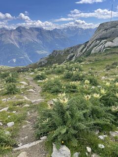 Foto von Babs Moergeli entlang der Tour