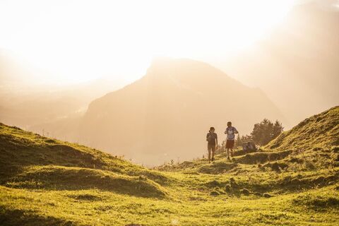 Kalkstein Region St. Johann in Tirol - Oberndorf - Kirchdorf - Erpfendorf