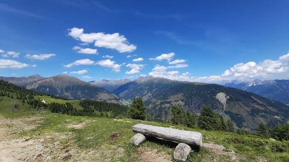Foto von Petra Bohringer entlang der Tour