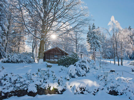 Winterwanderung im Schmallenberger Sauerland.
