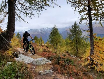Indian Summer mit gelben Lärchen auf dem Moosmattentrail