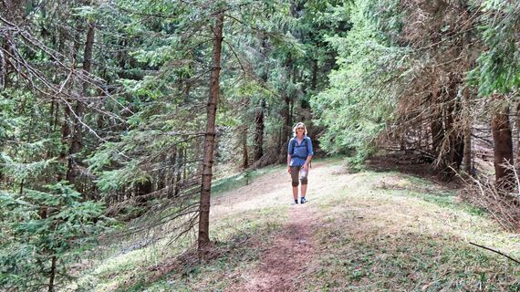 Der Gipfelanstieg führt durch den Wald