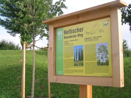 Infotafel über den Keltischen Baumkreis-Weg