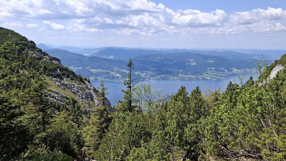 Foto von Roger Wilco entlang der Tour