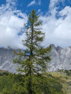 Photo de Alexandros Kartalis le long du parcours