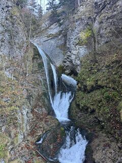 Foto van Firma Pool1 Hackl Roman langs de tour