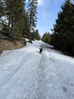 Fotografija s spletne strani Stefan Milchrahm na poti