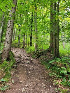 Weg Richtung Almkogel