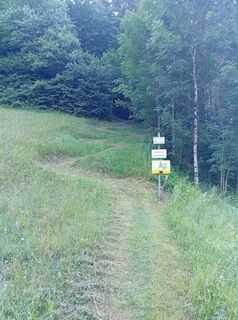 Foto da Wanderkatze lungo il tour