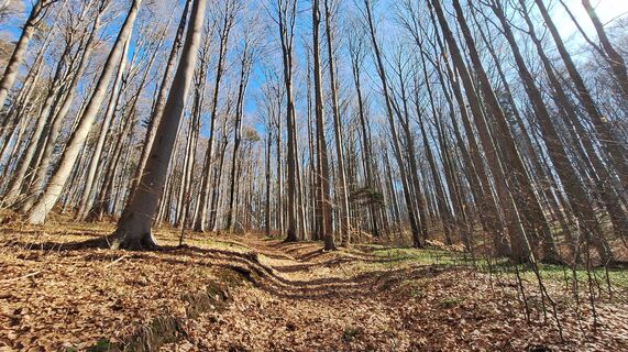 Zdjęcie z Regina Fleischmann wzdłuż trasy