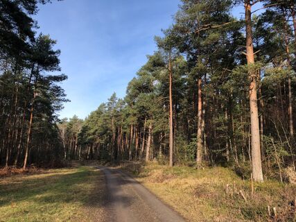 Wandertour Husum