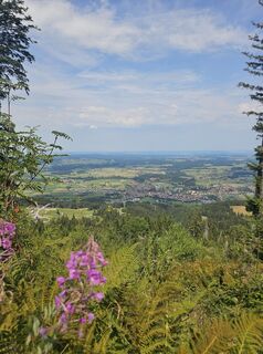 Foto von Martina entlang der Tour