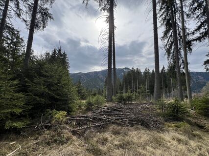 Photo de Anton Gigele le long du parcours