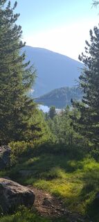 Fotografija s spletne strani Laura Gasparotto na poti