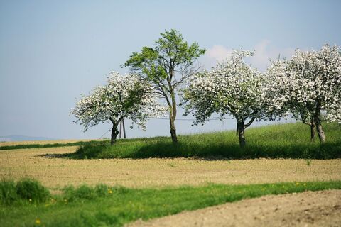 Frühlingsgefühle beim Rad fahren entfachen