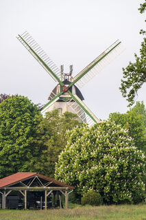 Holländer Mühle Artlenburg