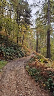 Foto von Fabrizi Mellano entlang der Tour