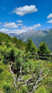 Photo de walrei le long du parcours