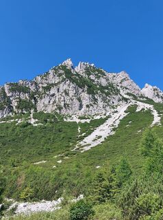 Fotografia z Helmut Korpitsch na trase