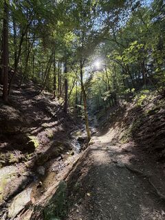 Photo de Thomas Propst le long du parcours