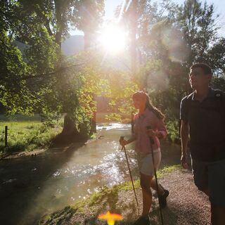 Der Weg führt am Brühlbach entlang