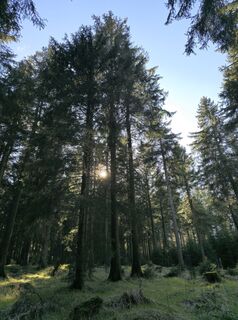 Photo de Jana Rudloff le long du parcours