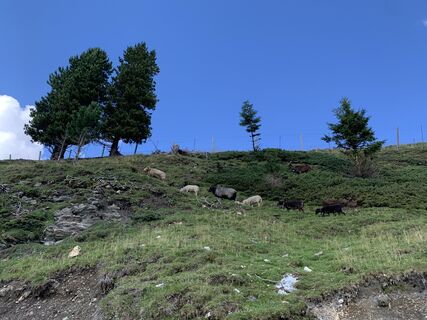 Fotografie z Koen De Wit na trase