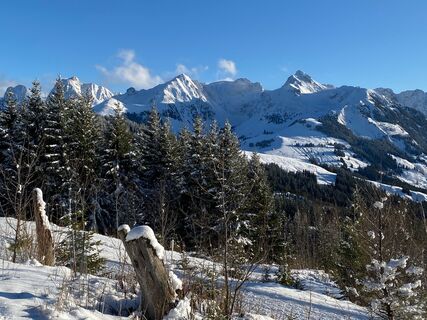 Winterwanderung Schwarzenbühl-Ottenleue