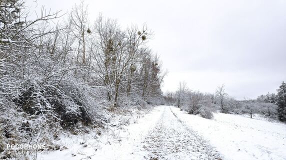 Fotografija s spletne strani Edit Szoboszlay na poti