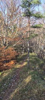 Foto von Hari Schrittwieser entlang der Tour