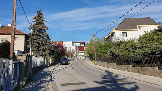 Фото с сайта Erwin Teufner во время экскурсии