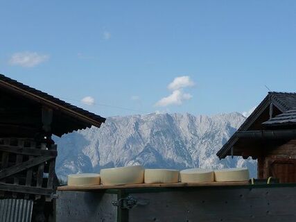 Käseproduktion auf der Mitterfeldalm