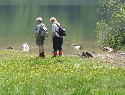 Grünberg-Laudachsee-Franzl im Holz-Gmunden