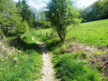 Rundwanderweg Kohlfurth